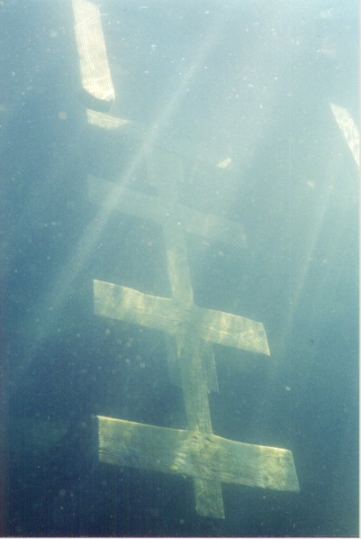 Diving ladder at Rolesville Quarry