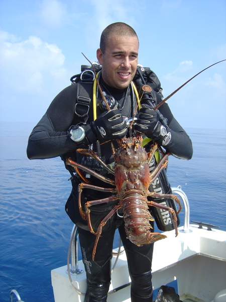 Pat's Lobster 