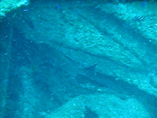 Jason and Aaron on the Esso Nashville
