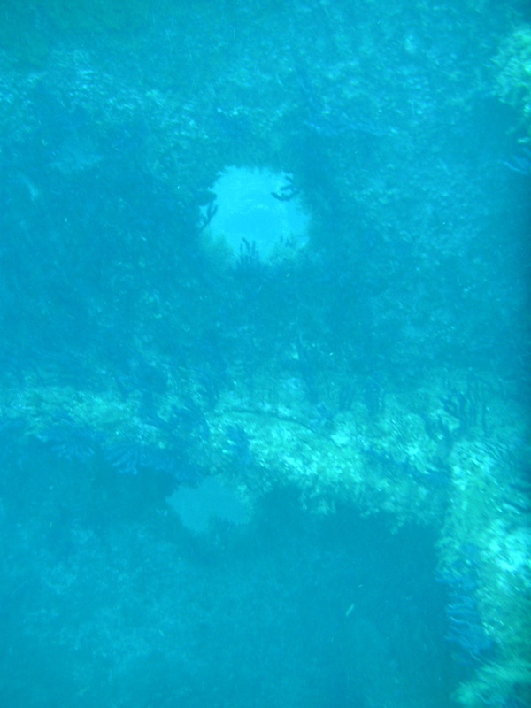 Wreck of the John D. Gill