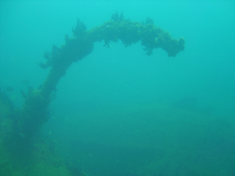 Wreck of the John D. Gill