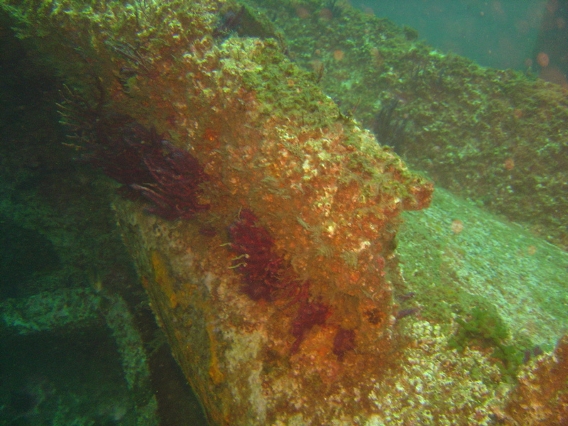 Hull of the John D. Gill