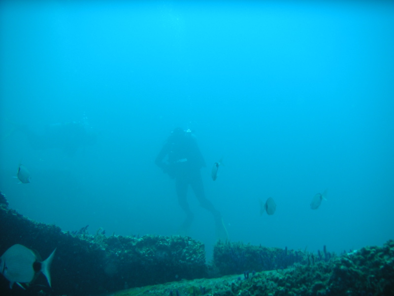 Aaron Harmon on the John D. Gill