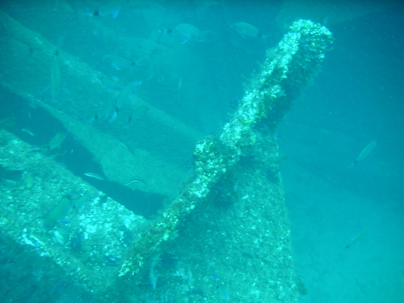 Inside the John D. Gill
