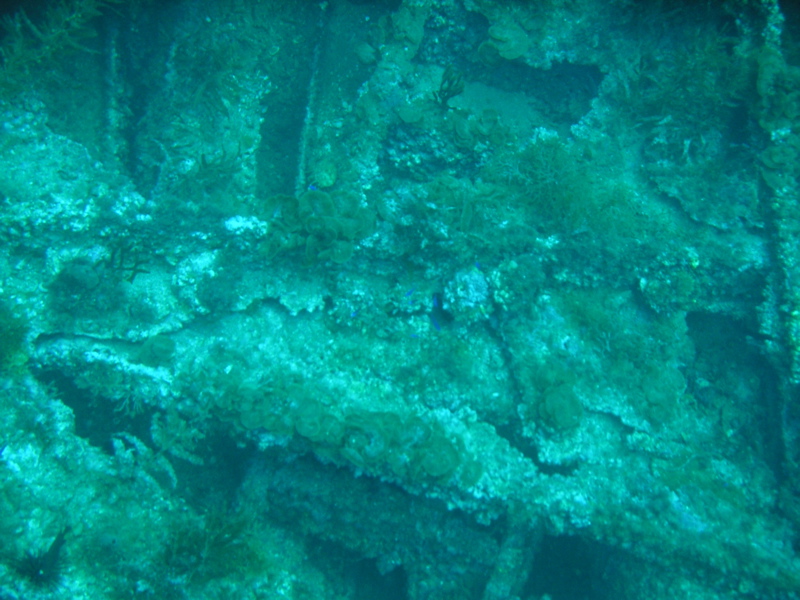 Wreck of the Normannia
