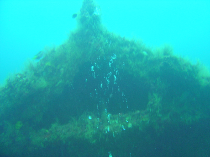 Bow of the Normannia