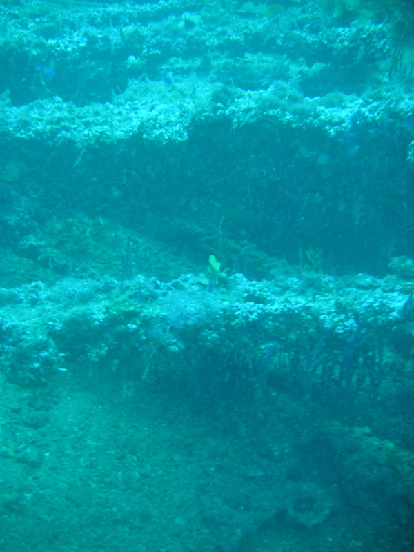 Wreck of the Normannia