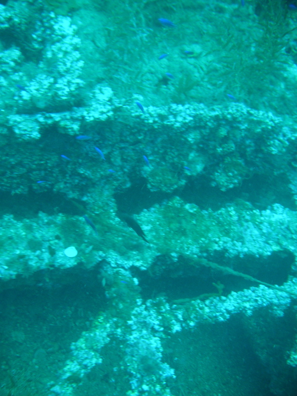 Wreck of the Normannia