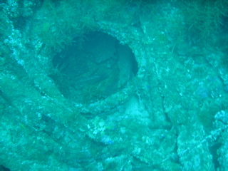 Wreck of the Normannia