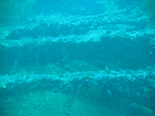 Wreck of the Normannia