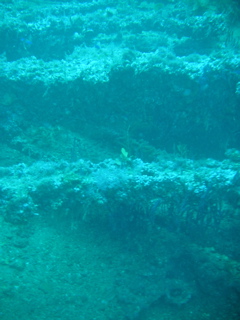 Wreck of the Normannia