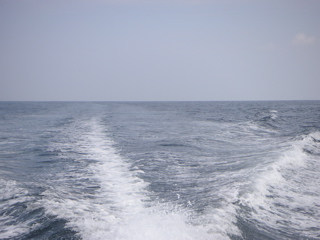 Returning to the Shore