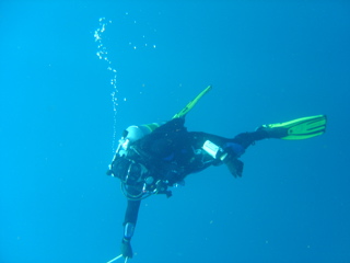 Aaron Harmon Ascending from the Normannia