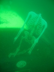 Skeleton in Quarry Car
