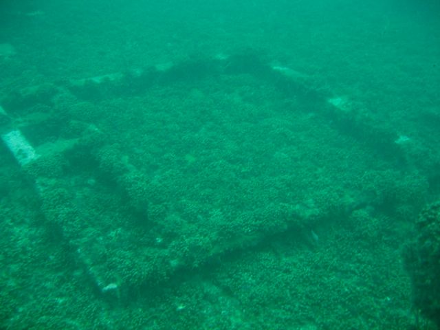 Coral on the Indra