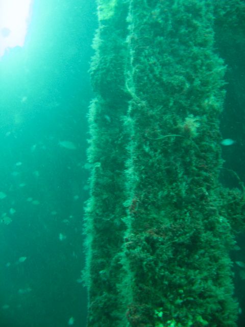 Beams Inside Indra