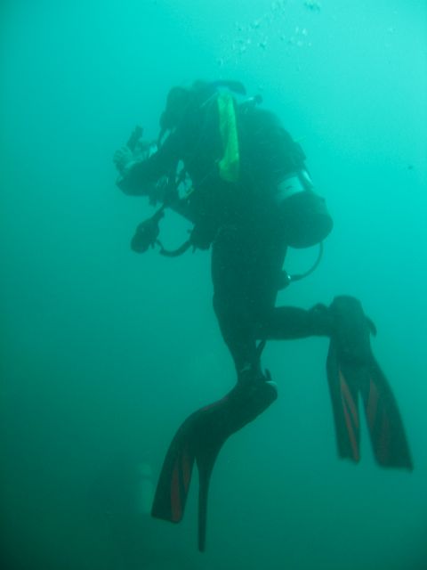 Jason Diving