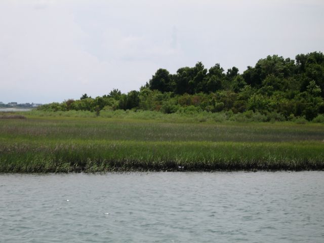 Island Near Morehead City