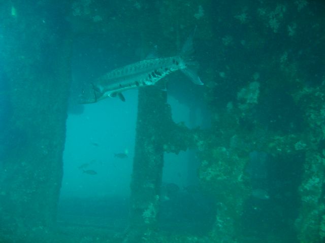 Barracuda on USS Indra