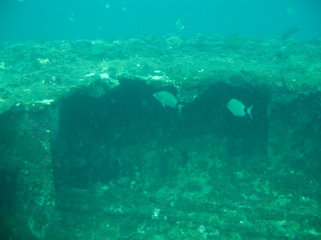 Fish on USS Indra