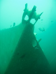 Sail Boat Bow