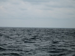 Land In The Distance