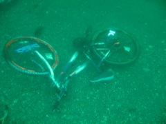 Bicycle on Sea Floor