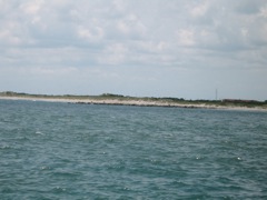Shore View