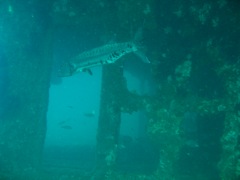 Barracuda on USS Indra