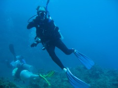 Jason Diving Jamaica Reef Wall