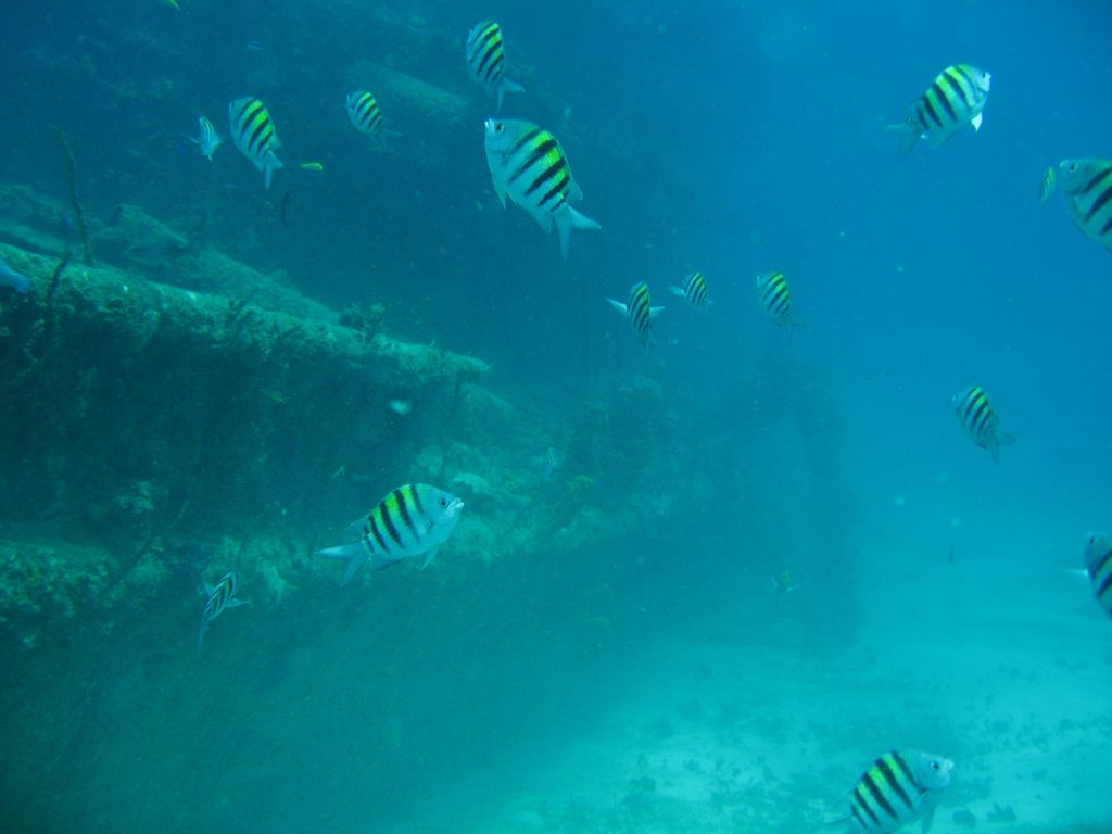 Sergeant Major Fish on Wreck of The Katherine