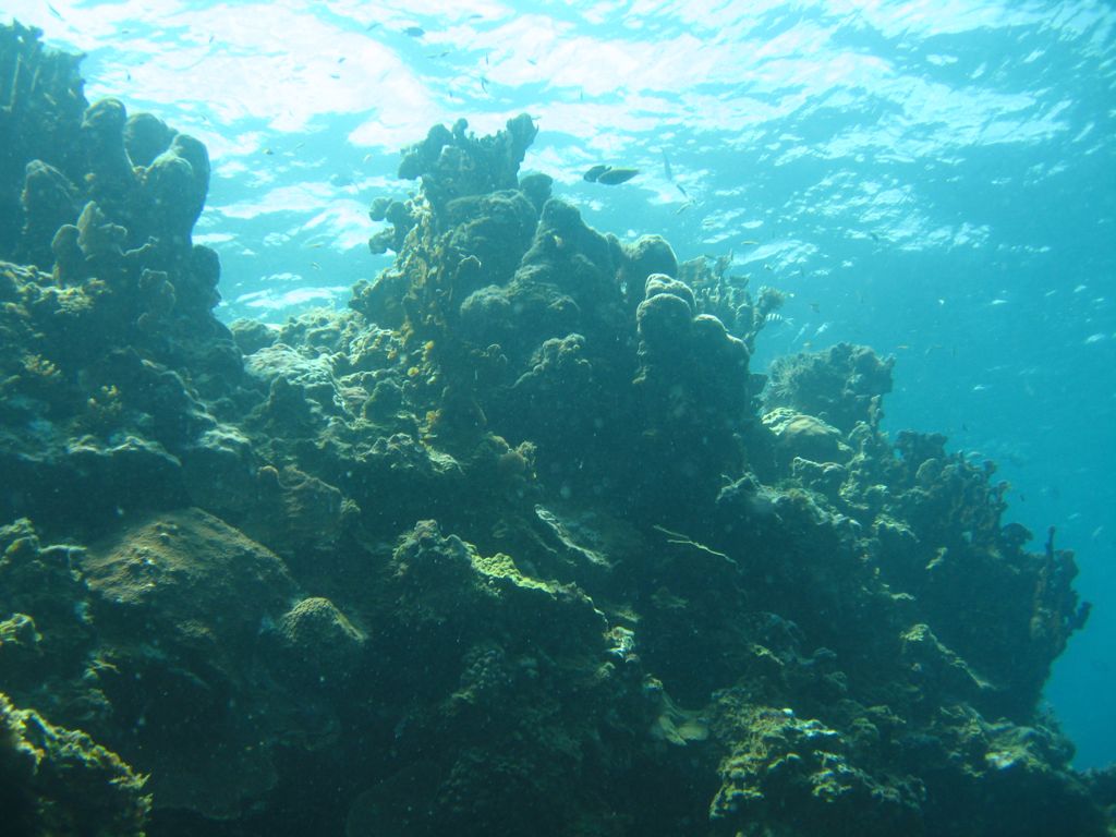 Ravine near The Katherine Wreck