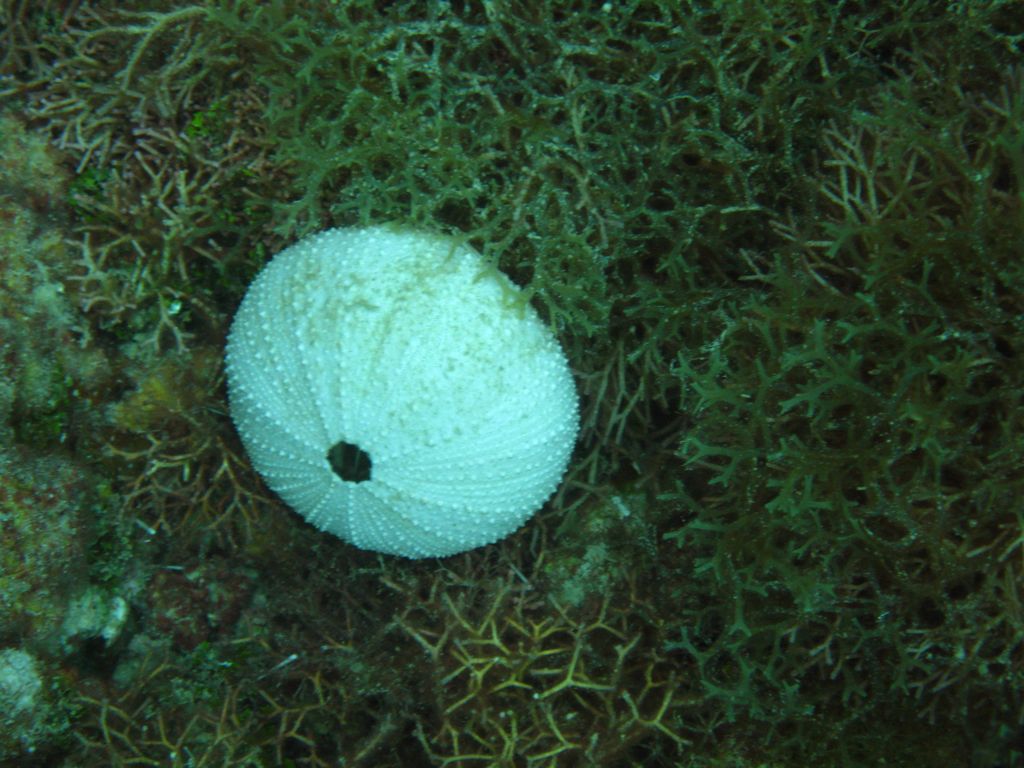 Ravine near The Katherine Wreck