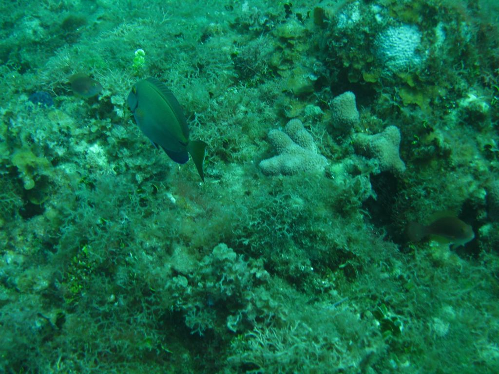 Ravine near The Katherine Wreck