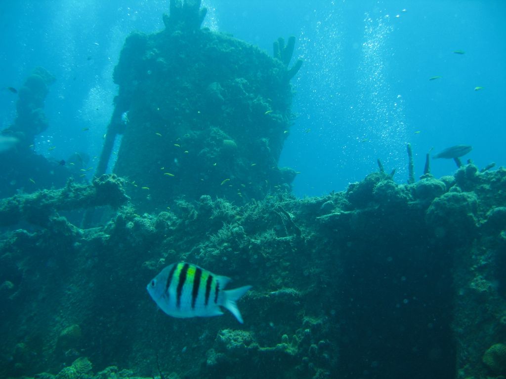 The Katherine Wreck