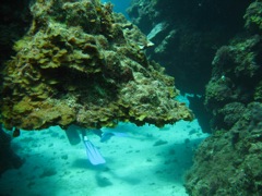 Ravine near The Katherine Wreck
