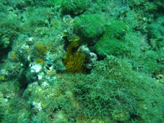 Ravine near The Katherine Wreck