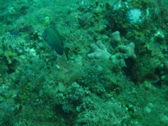 Ravine near The Katherine Wreck